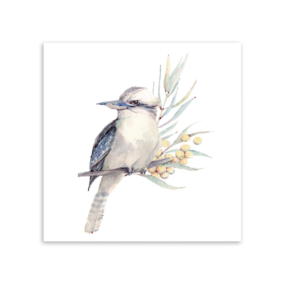 Whispering Kookaburra - Canvas Art Print - JP250