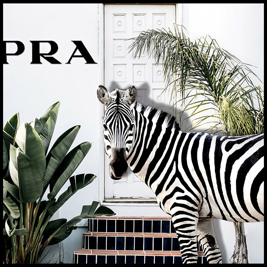 PRA - cnl337 - 90x90