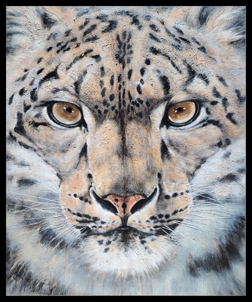 Feline Gaze - Shadow Framed Art - CNL4641 - 50x60cm