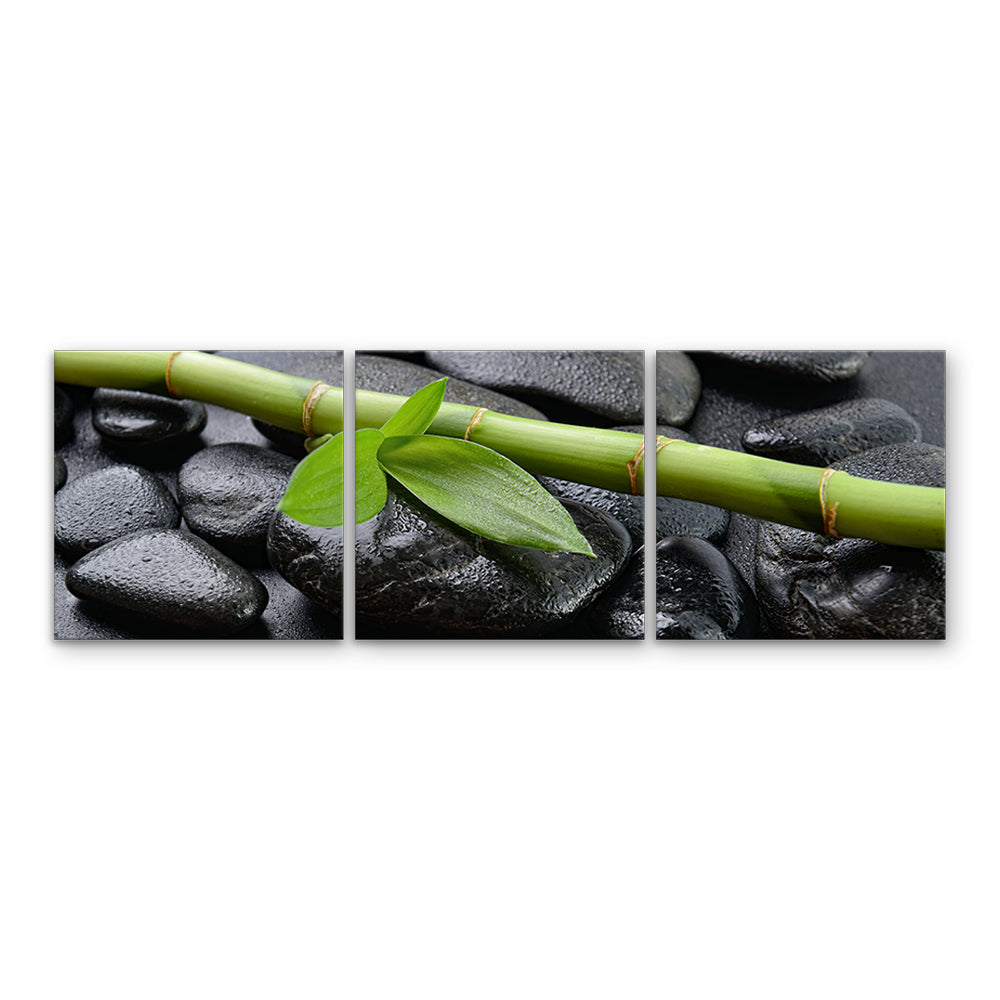 Zen - 3 piece Set - TOP211