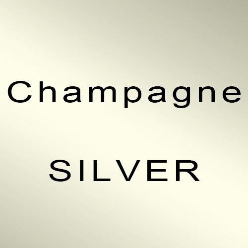 Custom Shadow Frame Champagne SILVER