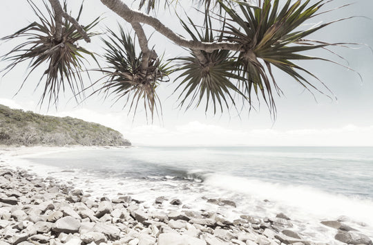 Beach Palms - Canvas Print Art - CN404 - 80x120cm - Priceless ART:  Australia's Largest Range of Affordable ART