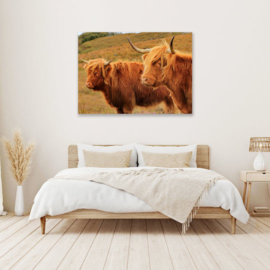 Yaks - Canvas Art Print - CN751