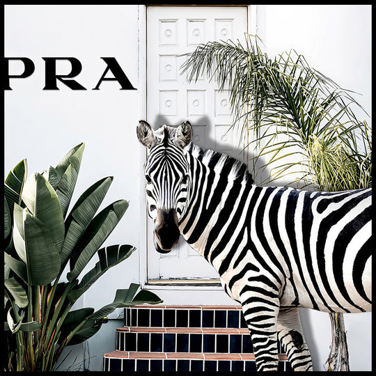 PRA - Shadow Framed Art - CNL337 - 90x90cm