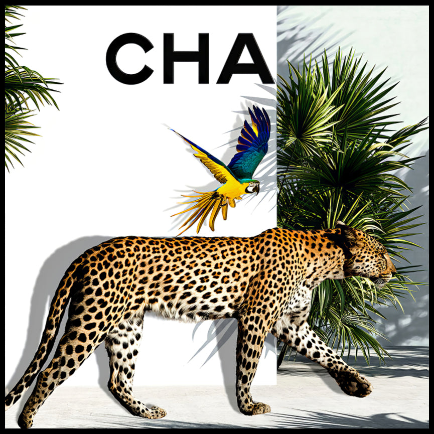 CHA - Shadow Framed Art - CNL338 - 90x90cm - Priceless ART:  Australia's Largest Range of Affordable ART