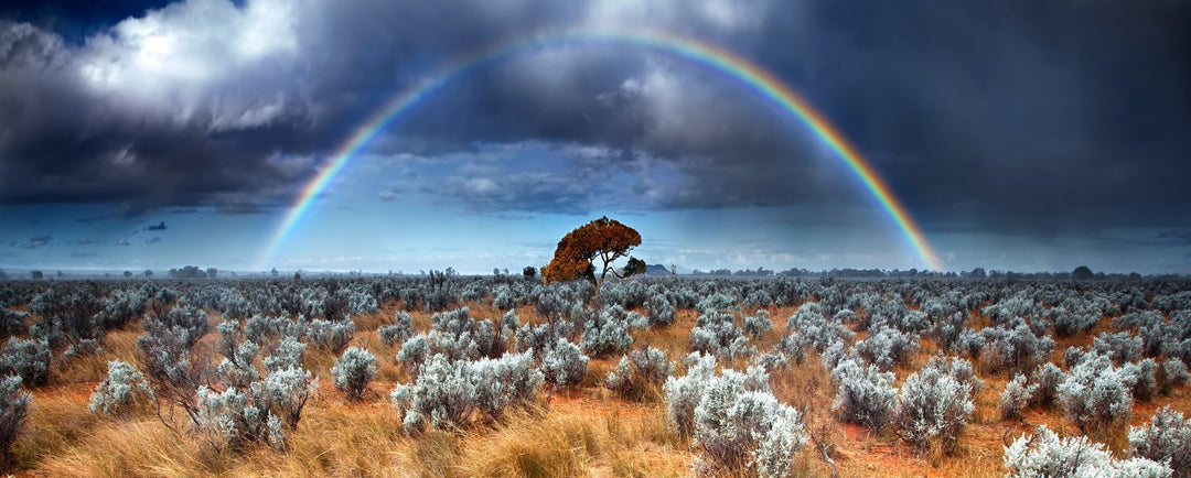 Outback Rainbow Over Native Bushland - Canvas Print - 80x200cm - JP486