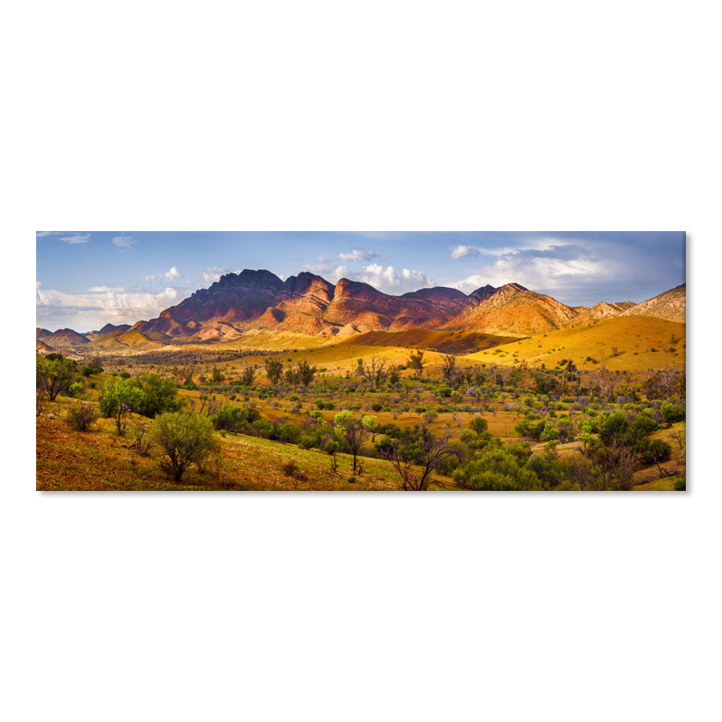 Flinders Ranges Panorama - Canvas Print - 80x200cm - JP487