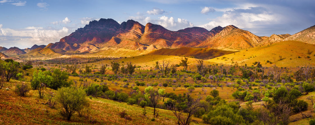 Flinders Ranges Panorama - Canvas Print - 80x200cm - JP487