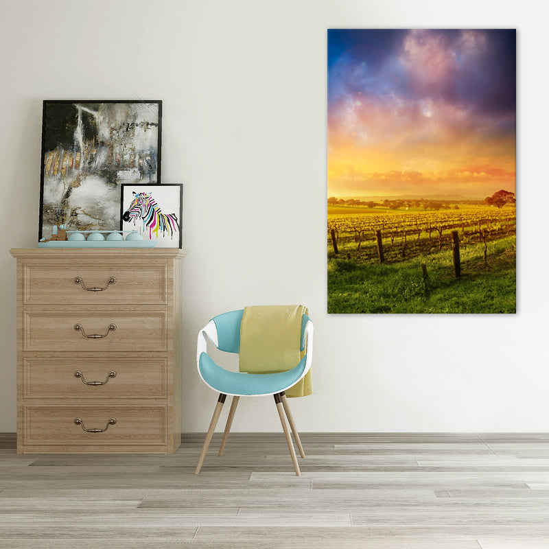 Golden Vineyard Sunset - Canvas Print - 80x120cm - JP490