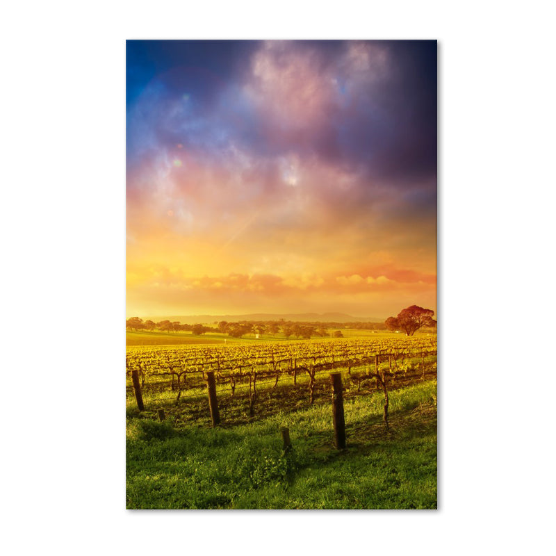 Golden Vineyard Sunset - Canvas Print - 80x120cm - JP490