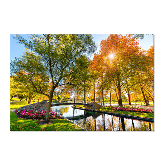 Adelaide's East Park Lands - Canvas Art Print - JP766