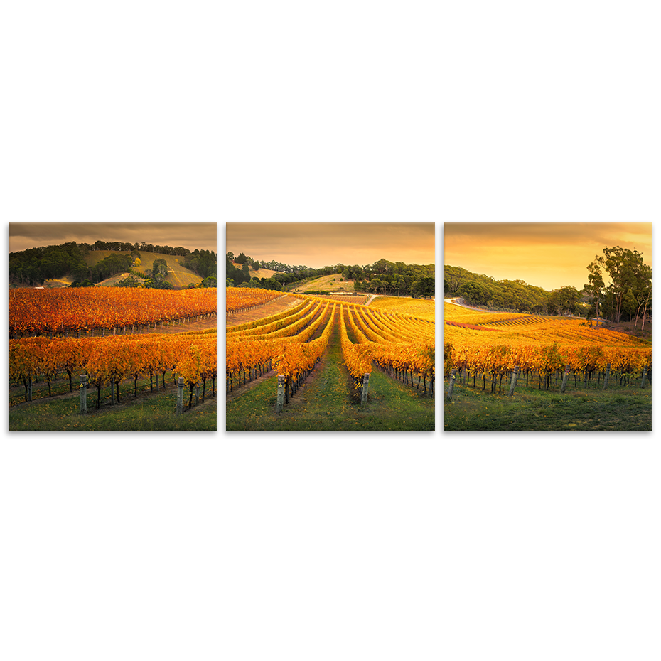 Adelaide Hills - 3 Pce Set 60x180cm - TOP201