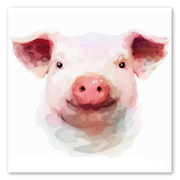 Portrait of a Pig - Canvas Print ART - CN324 - 60x60cm