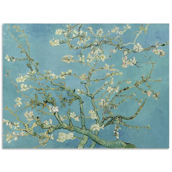 Almond Blossom - Van Gogh Canvas Art Print - CN626
